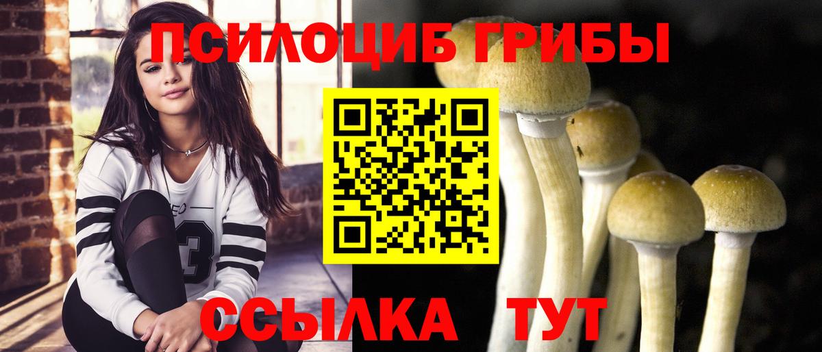 Псилоцибиновые грибы мухоморы Киржач